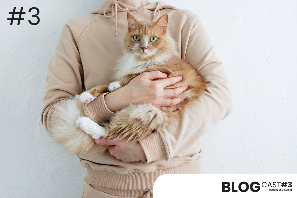 Reasons Why We Cherish Our Beloved Dogs or Cats So Much