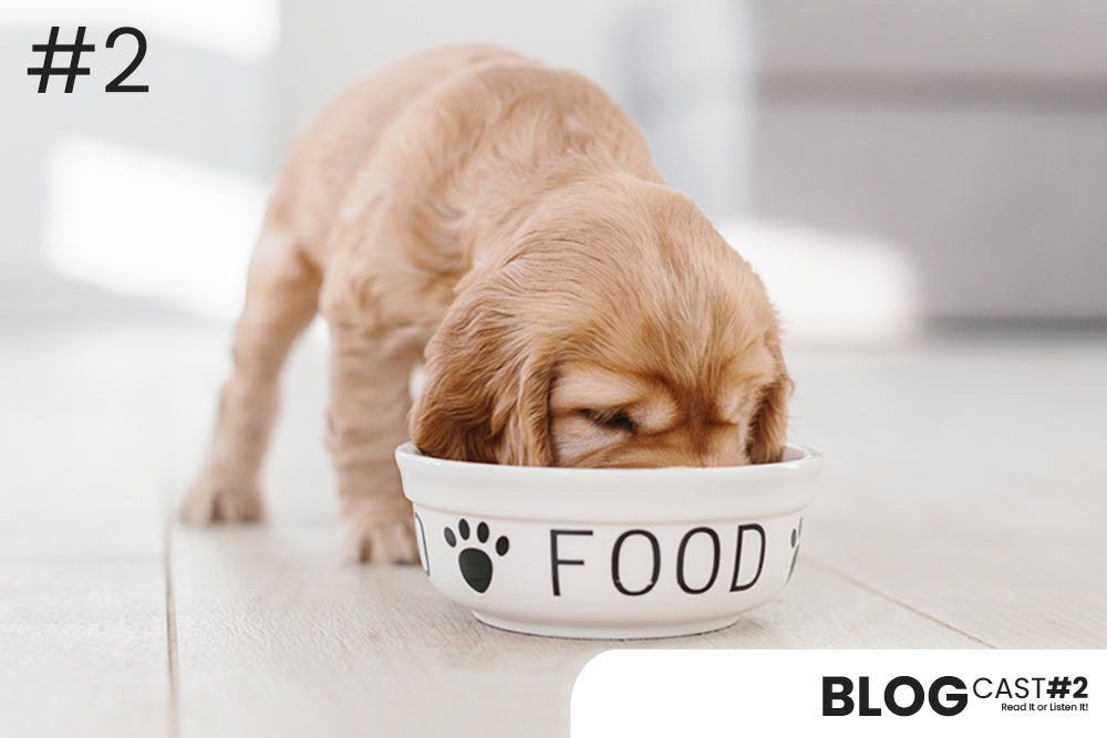 Why Grain-Free, Hypoallergenic Works for Dogs & Cats