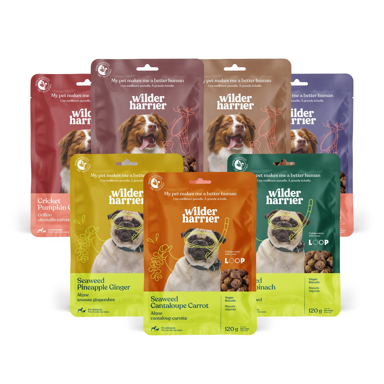 7-Bag Discovery Pack